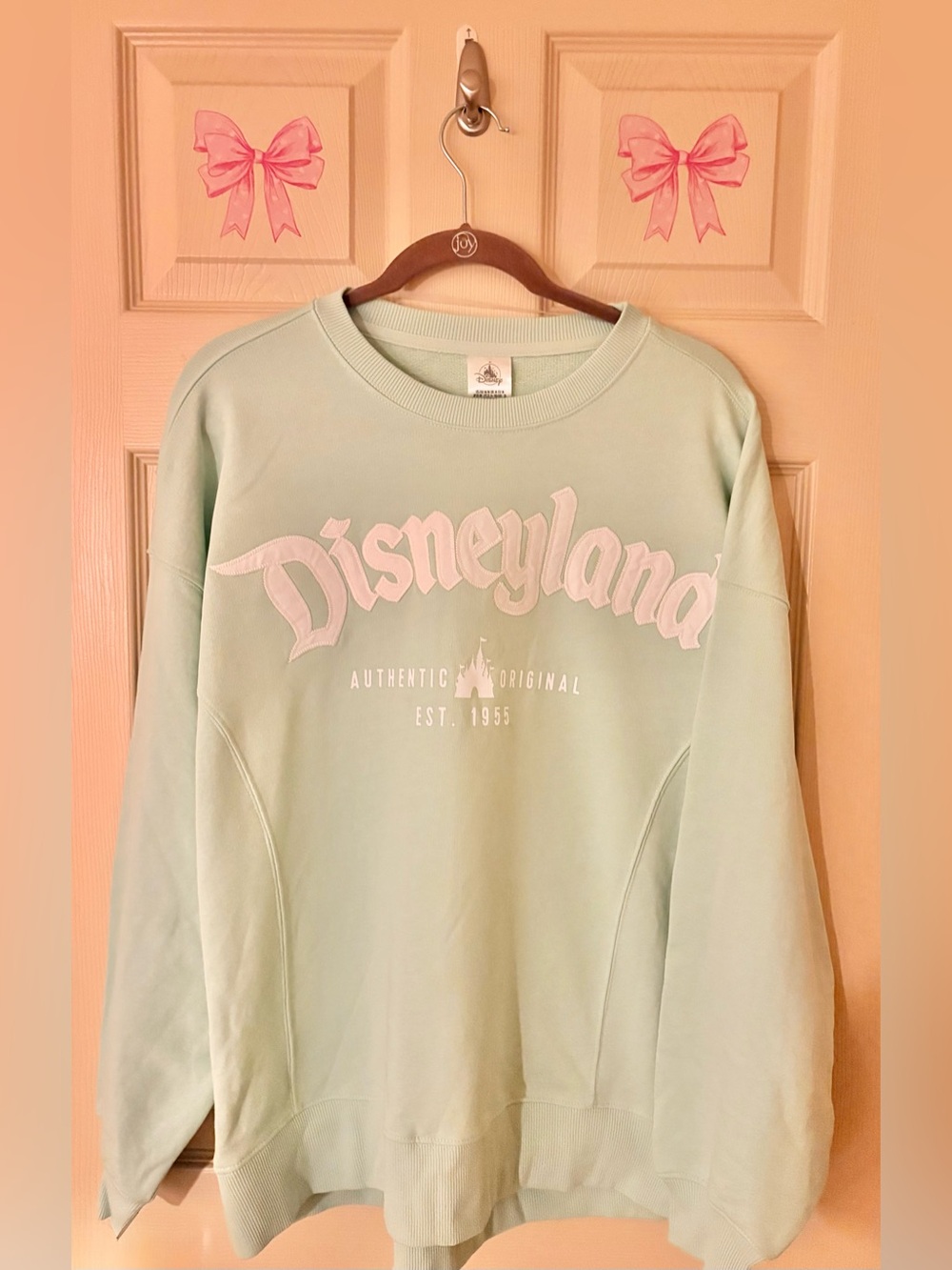 Disney Parks Disneyland Mint Green Crewneck Pullover Sweatshirt Women’s NWT